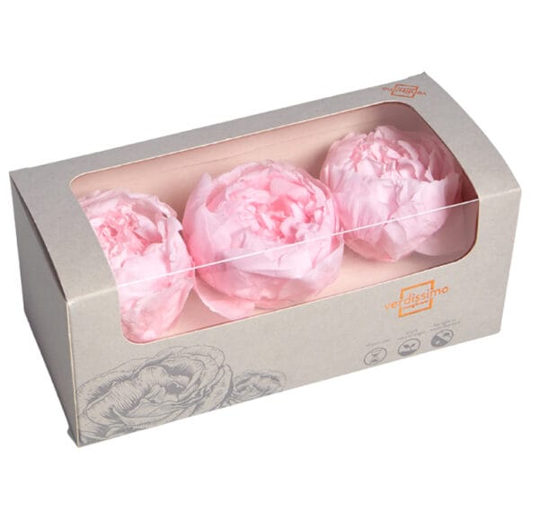 Pivoines Préservées