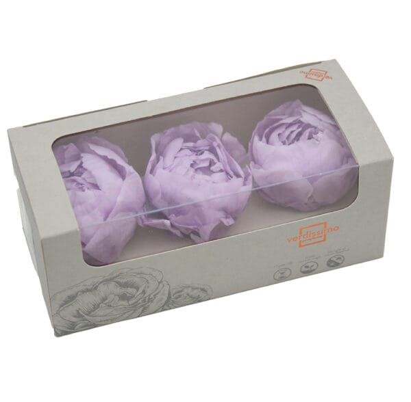 Pivoines Préservées – Image 5