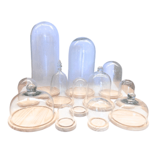 CLOCHES EN VERRE SUR SOCLE EN BOIS / TAILLES MULTIPLES