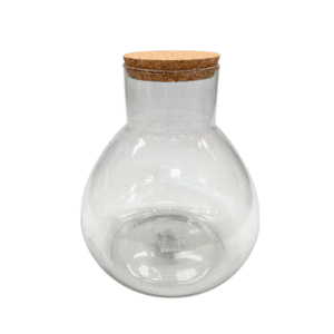 TERRARIUM EN VERRE "FLORERO"