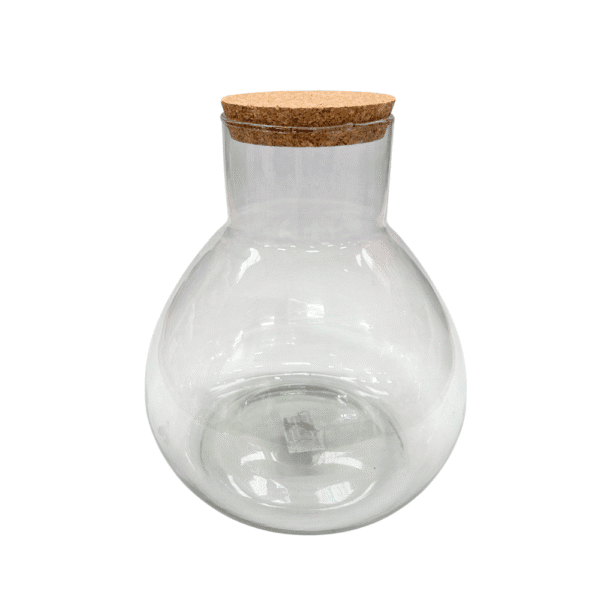 TERRARIUM EN VERRE "FLORERO"