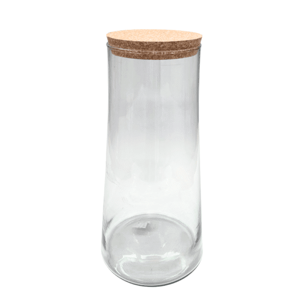 TERRARIUM EN VERRE "CONO"