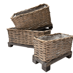 LOT DE 3 VANNERIES RECT. SUR PIED 22GB1006