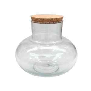 TERRARIUM EN VERRE "MECO"