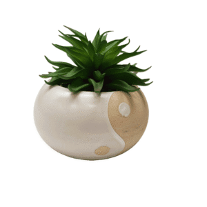 DECO POT EN PORCELAINE BEIGE + PLANTE VERTE