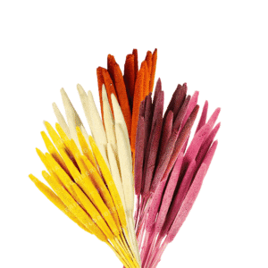 BOUQUET DE BABALA 75CM