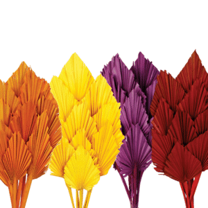 FAGOT DE 9 TIGES DE PALM SPEAR 50CM