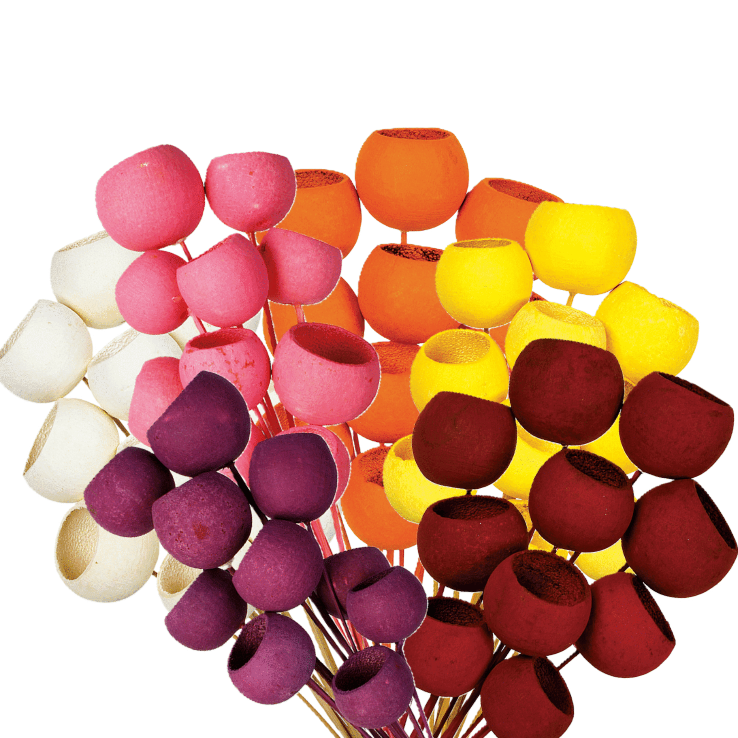 SACHET DE 10 BELL CUP 40CM