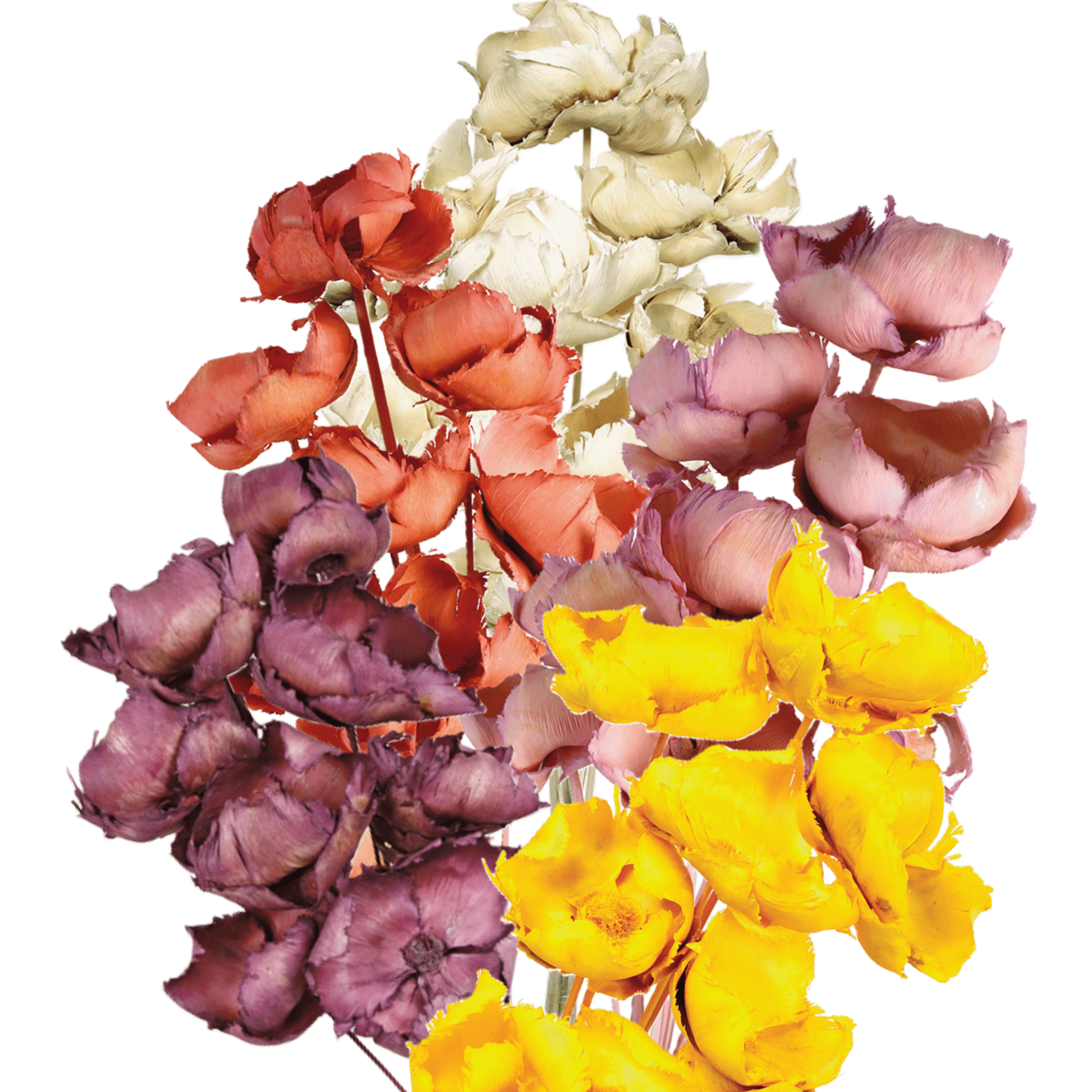 BOUQUET DE PALM CAP 40CM