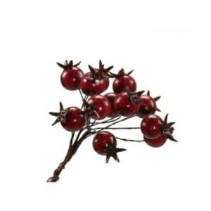 SACHET DE 6 PICS BAIES ROUGES 218370