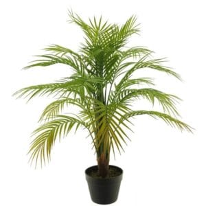 ARECA VERT EN POT 90CM