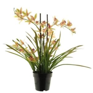 ORCHIDÉE ROSE EN PORT 71CM