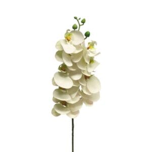 BRANCHE ORCHIDEE BLANCHE 77CM