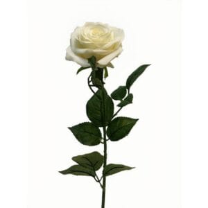 ROSE ARTIFICIELLE CREME 64CM