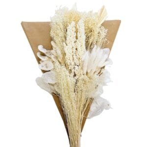 BOUQUET FLEURS SÉCHÉES BLANC