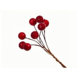 SACHET DE 20 PICS BAIES ROUGES 270051