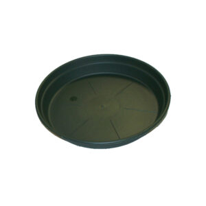 SOUCOUPE RONDE PLASTIQUE VERT SAPIN (9 tailles)