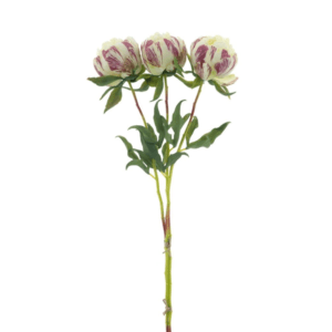 3 BRANCHES DE PIVOINE ARTIFICIELLE CREME 63CM