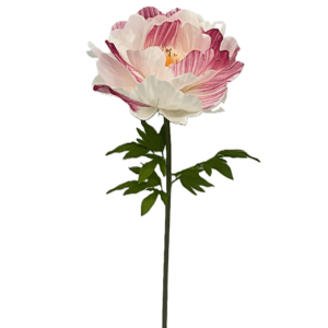Pivoine Artificielle Bicolore Fushia — Ø 50 cm · H 135 cm