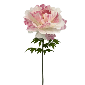 Pivoine Artificielle Bicolore Fushia — Ø 60 cm · H 150 cm